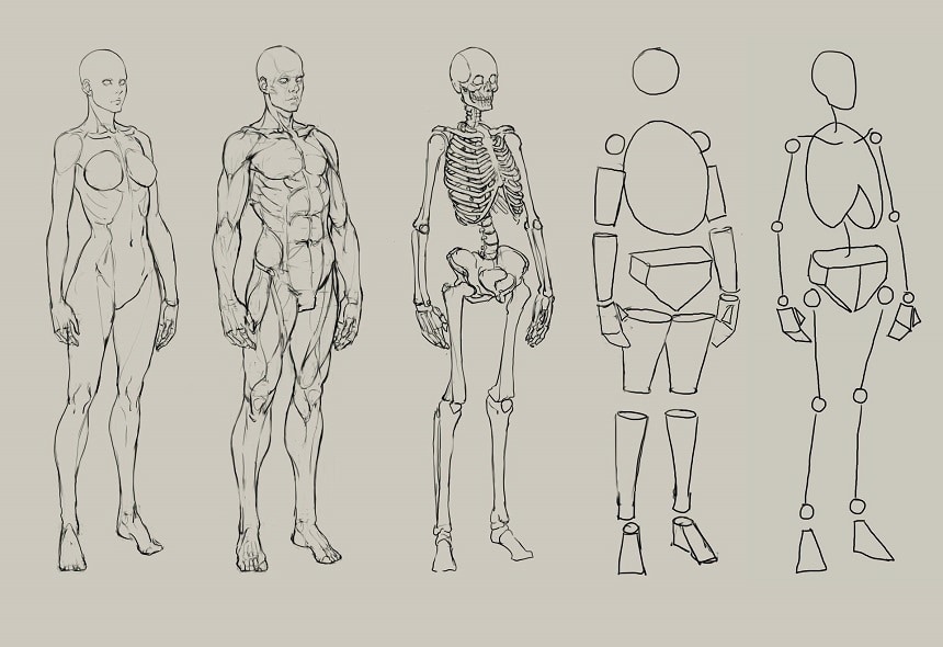 How Long Does It Take to Get Good at Drawing: Every Media Considered